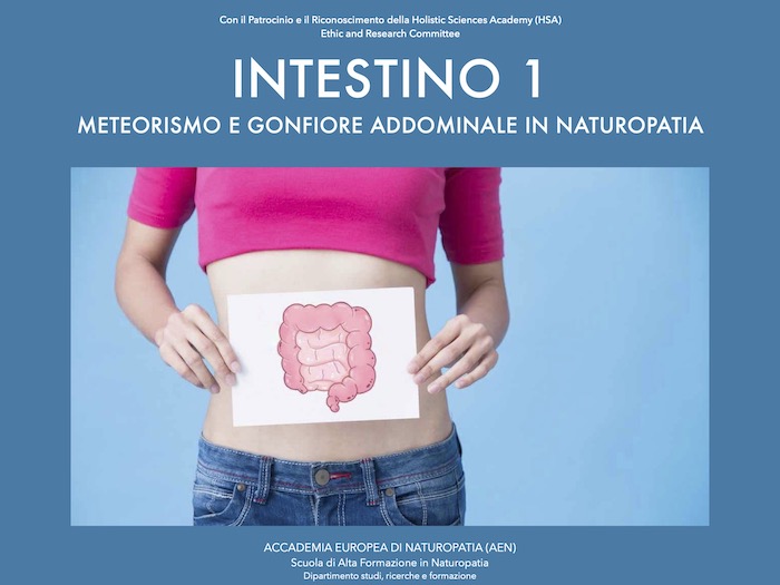 Intestino 1