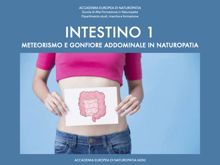 Intestino 1