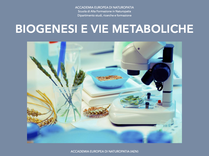 Biogenesi e vie metaboliche