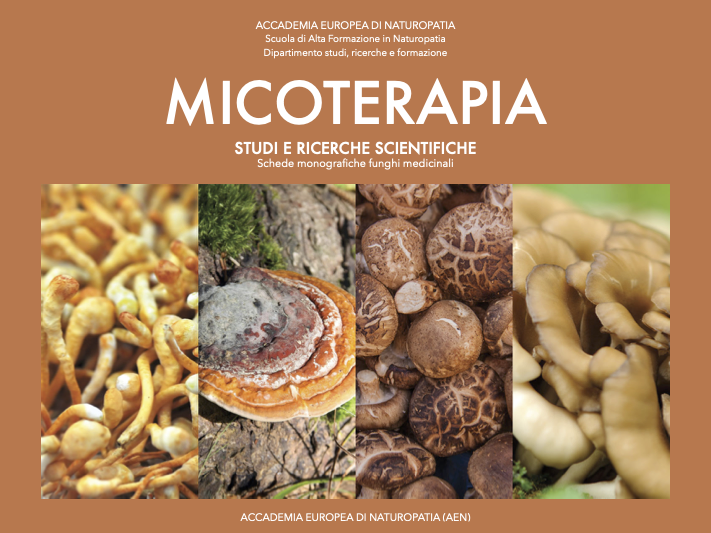 Micoterapia