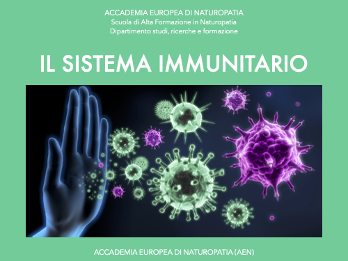 Sistema immunitario