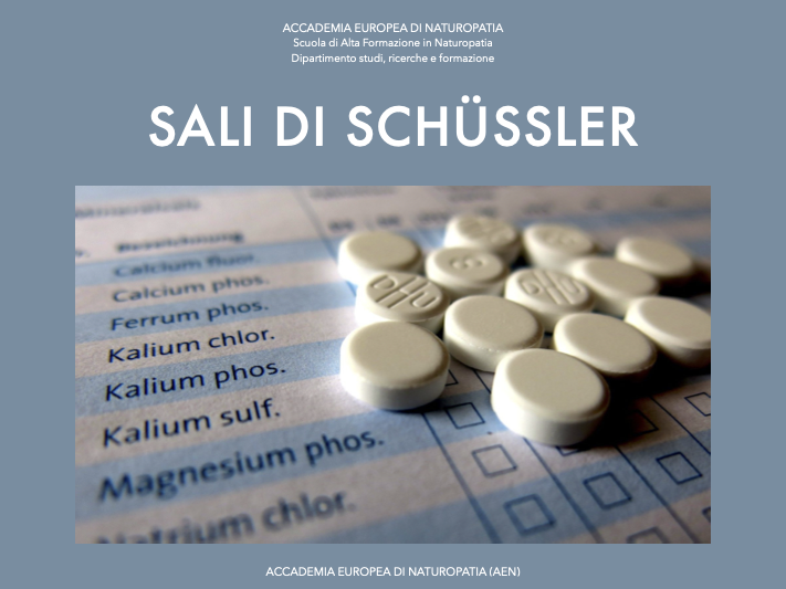 Sali di Schüssler