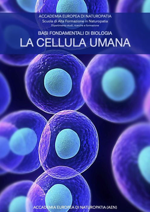 La cellula umana