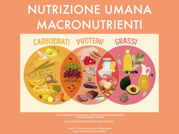 Nutrizione umana - Macronutrienti