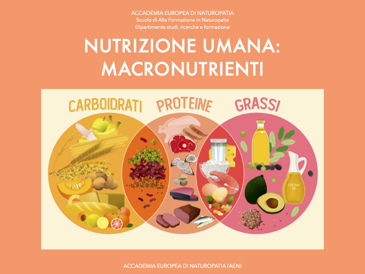 Nutrizione umana - Macronutrienti