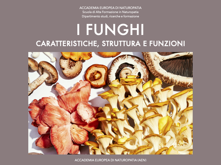 I funghi