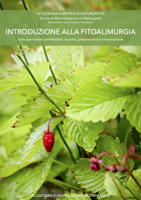 Introduzione alla fitoalimurgia
