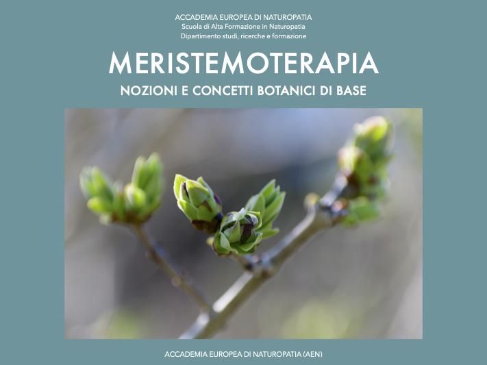 Meristemoterapia, nozioni e concetti botanici di base