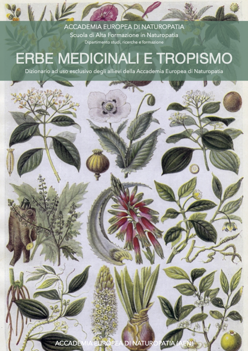 Erbe medicinali e tropismo