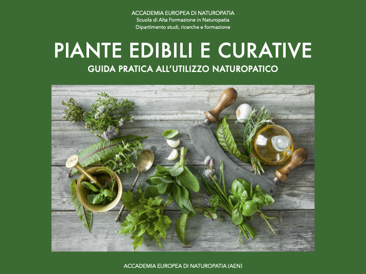 Piante edibili e curative