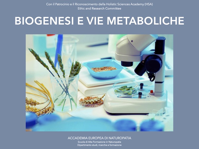 Biogenesi e vie metaboliche