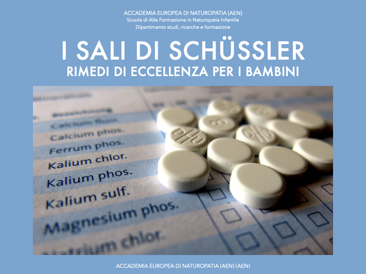 I sali di Schussler